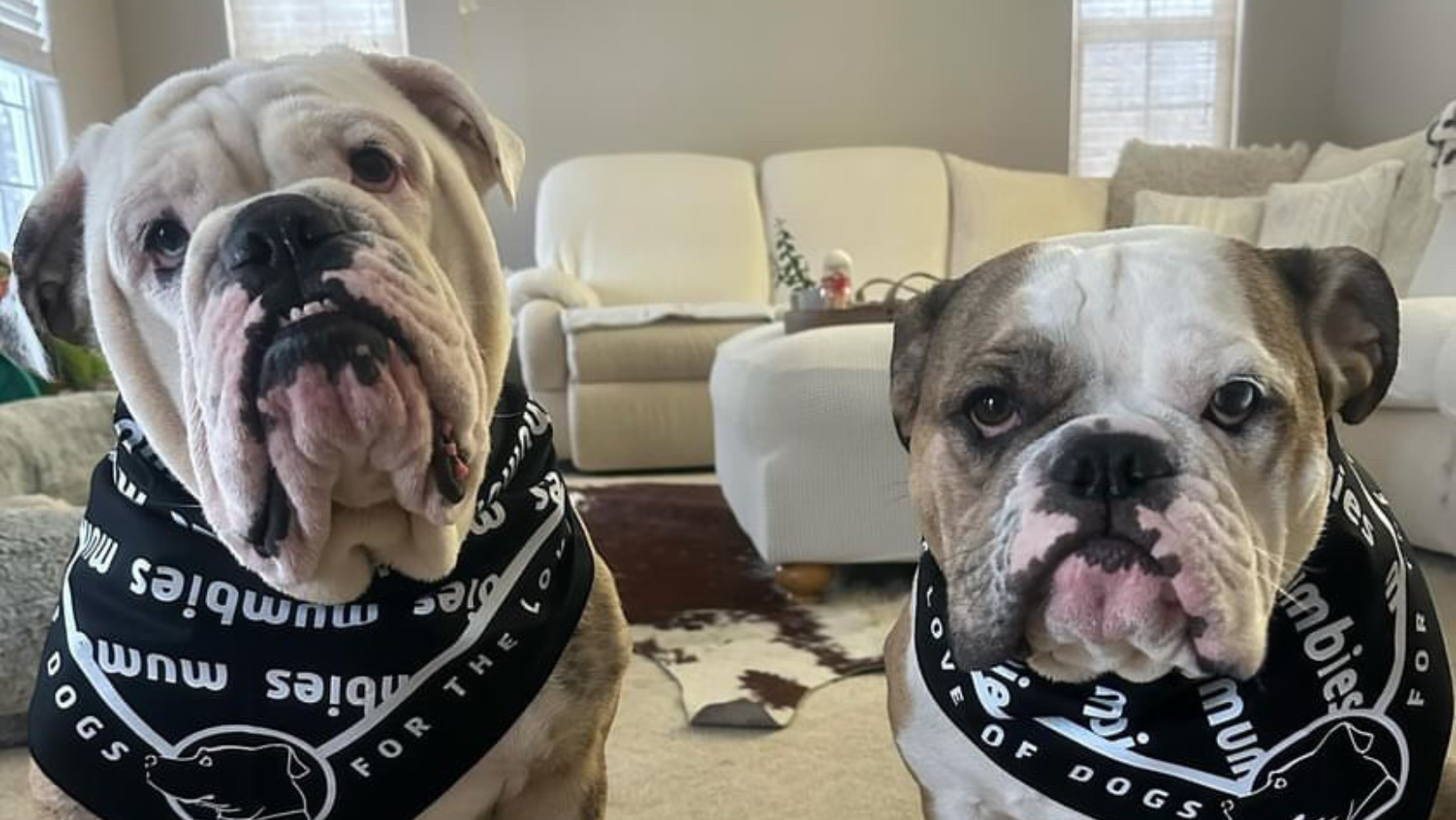 Mumbies – The Chews They Choose