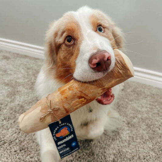 Original Chew
