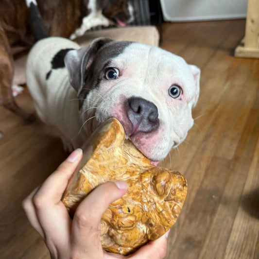 Root Chew