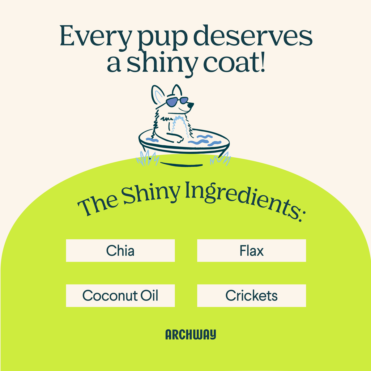 Hypoallergenic Skin & Coat Health Dog Treat
