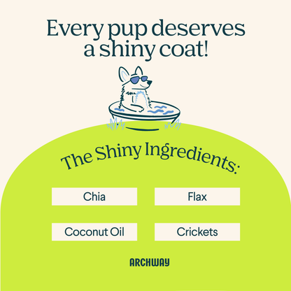 Hypoallergenic Skin & Coat Health Dog Treat