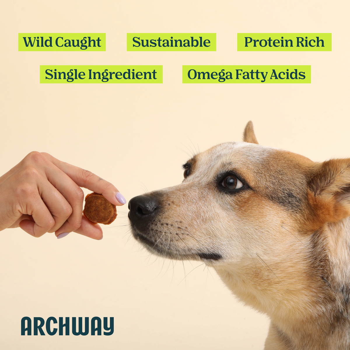 Silver Carp Fish Chip For Dogs (Single Ingredient Treat)
