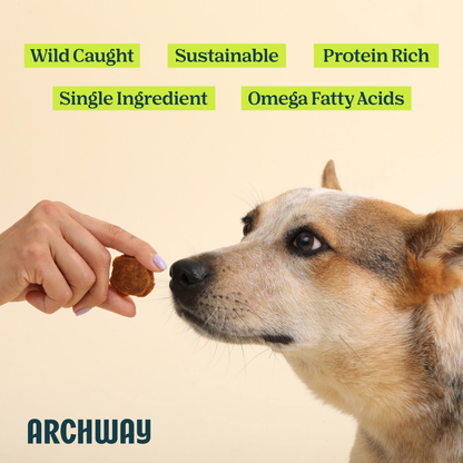 Silver Carp Fish Chip For Dogs (Single Ingredient Treat)