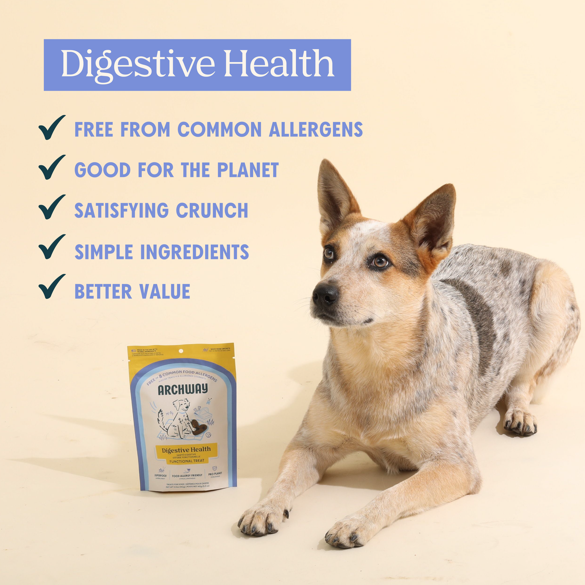 Hypoallergenic Digestive Health Dog Treat