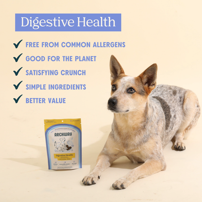 Hypoallergenic Digestive Health Dog Treat