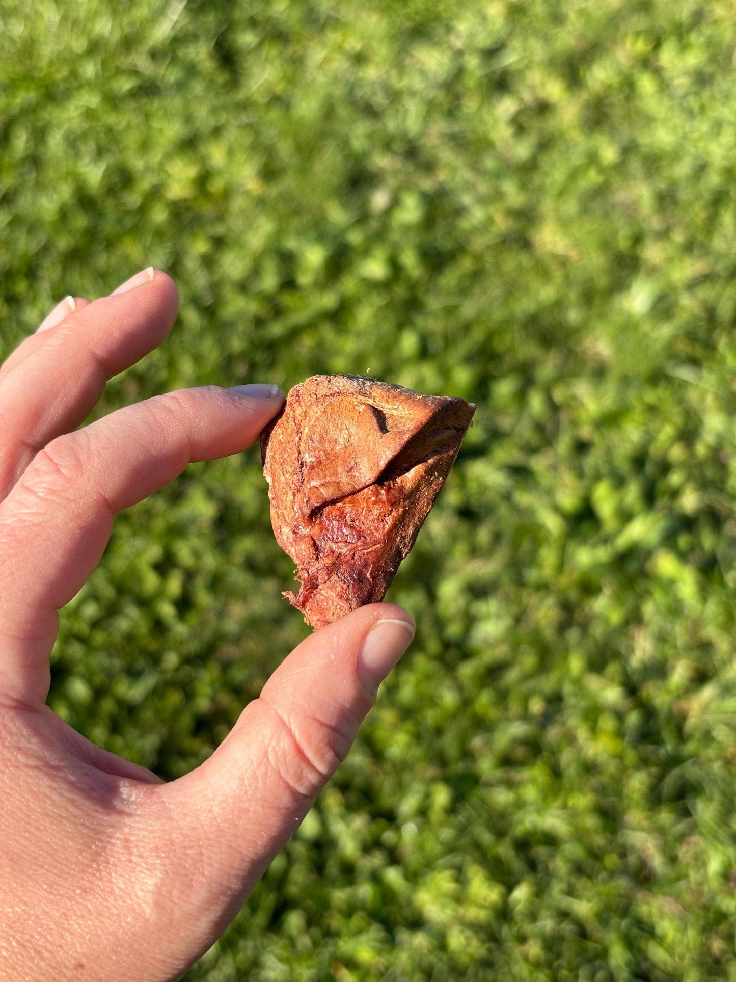 Liver Licks