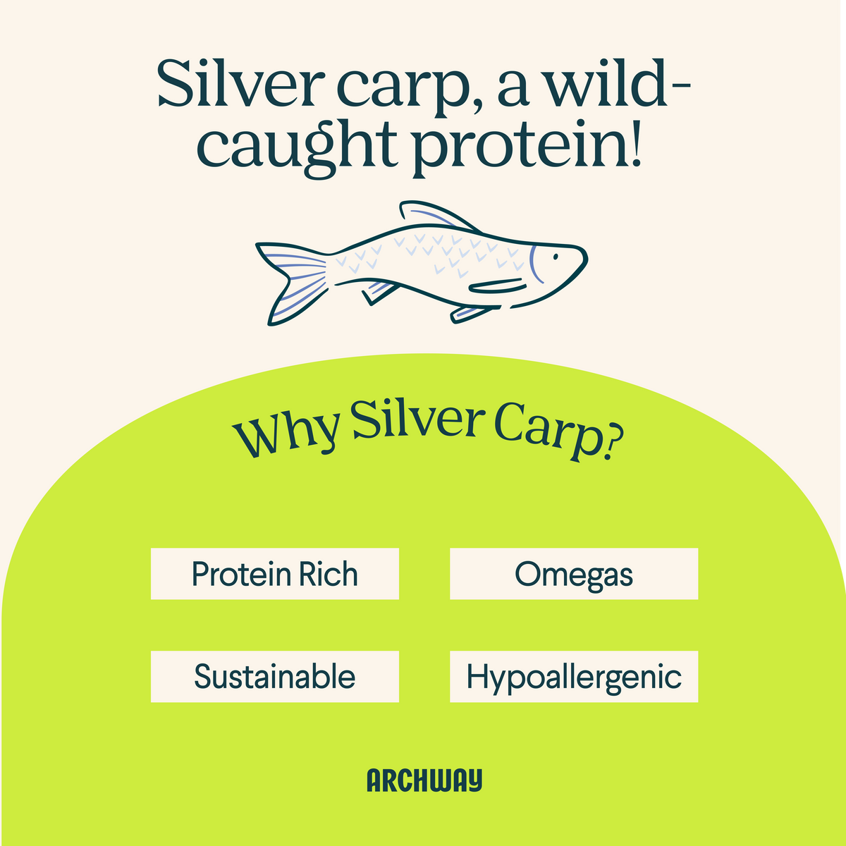 Silver Carp and Sweet Potato Biscuits