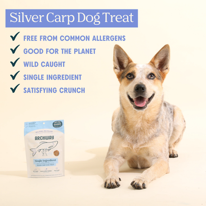 Silver Carp Fish Chip For Dogs (Single Ingredient Treat)