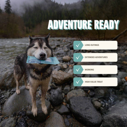 Seafood Treat & Snack Bar for Active Dogs - Energy & Recovery