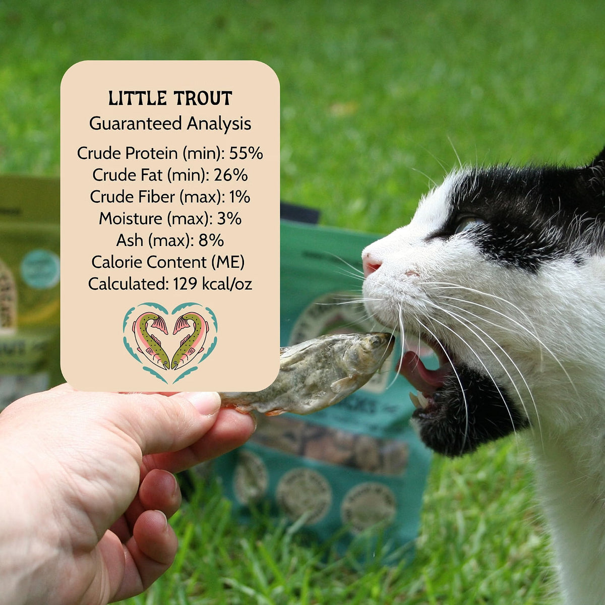 Little Trout