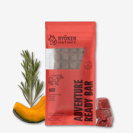 Beef Treat & Snack Bar for Active Dogs - Energy & Recovery