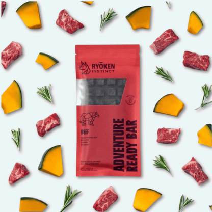Beef Treat & Snack Bar for Active Dogs - Energy & Recovery