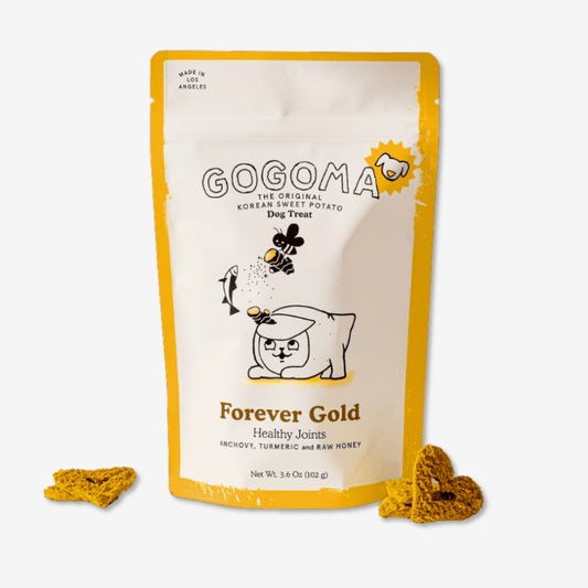 Turmeric + Anchovy Whole Food Dog Treat for Mobility