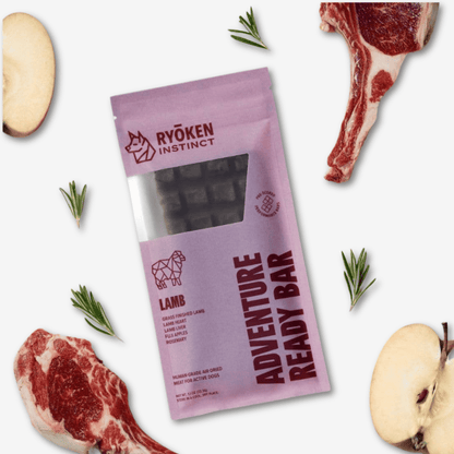 Lamb Treat & Snack Bar for Active Dogs - Energy & Recovery