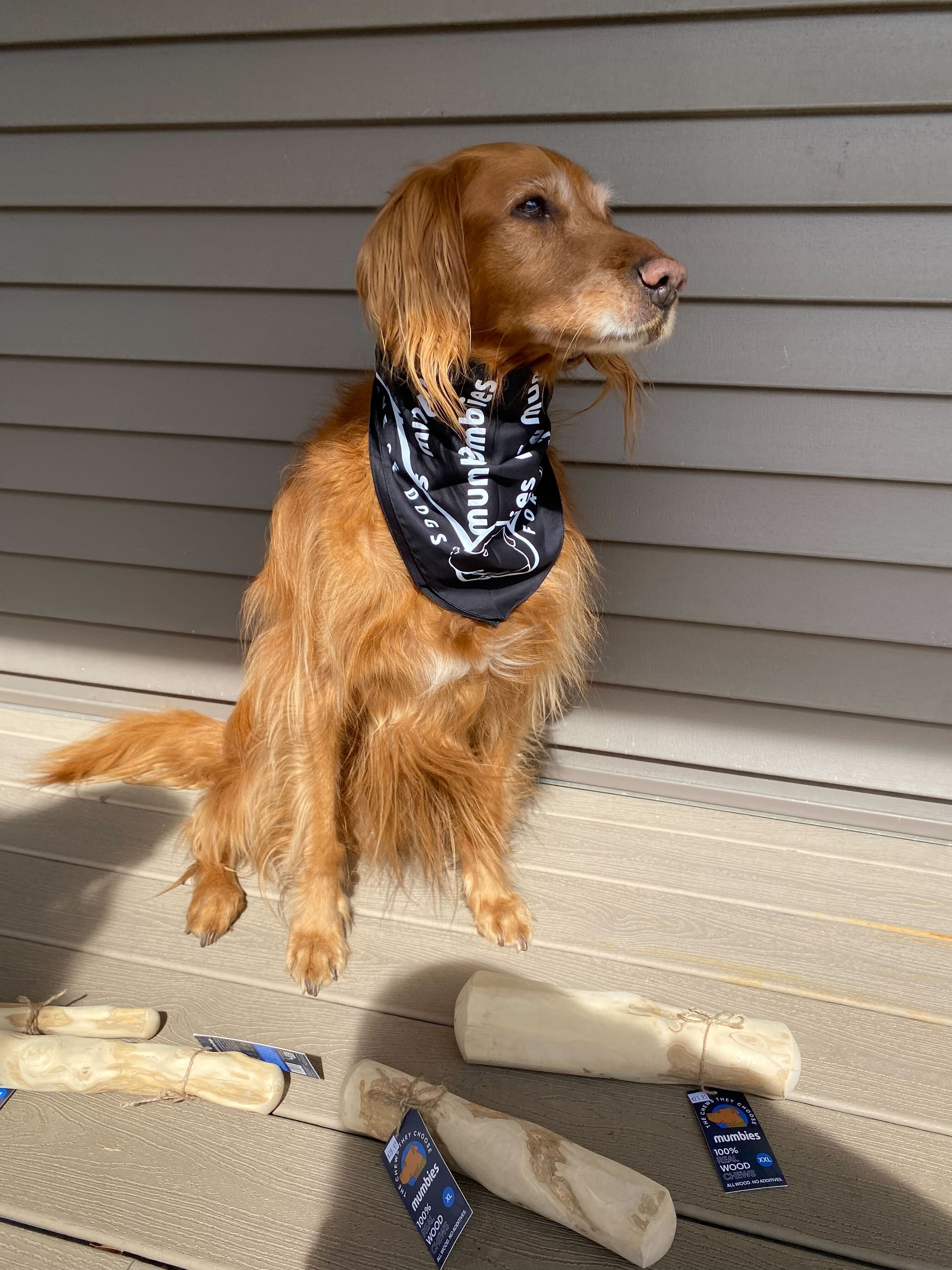 Mumbies Bandana