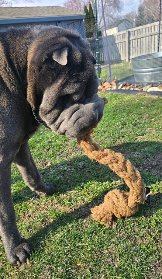 Coconut Rope Tug