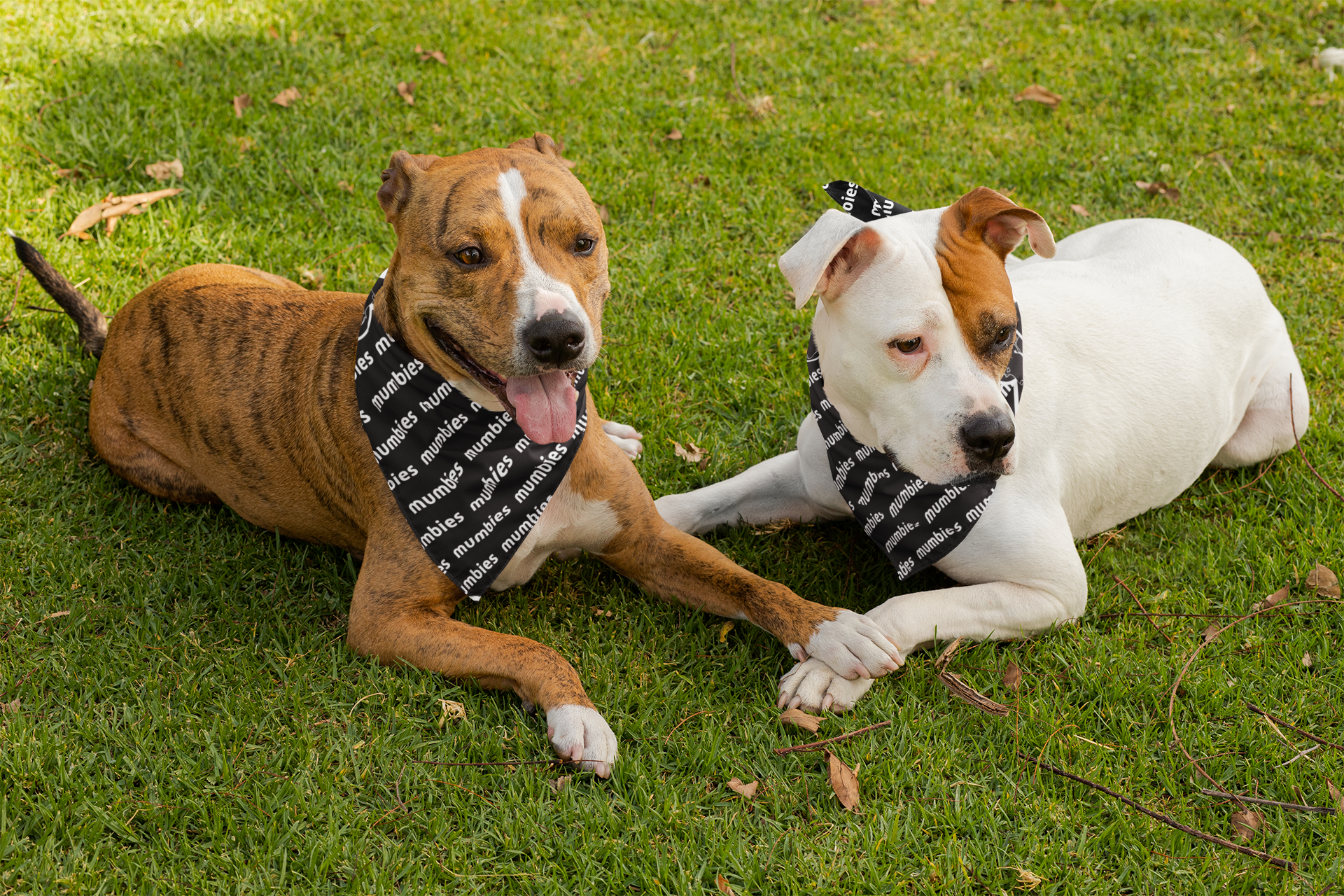Mumbies Bandana