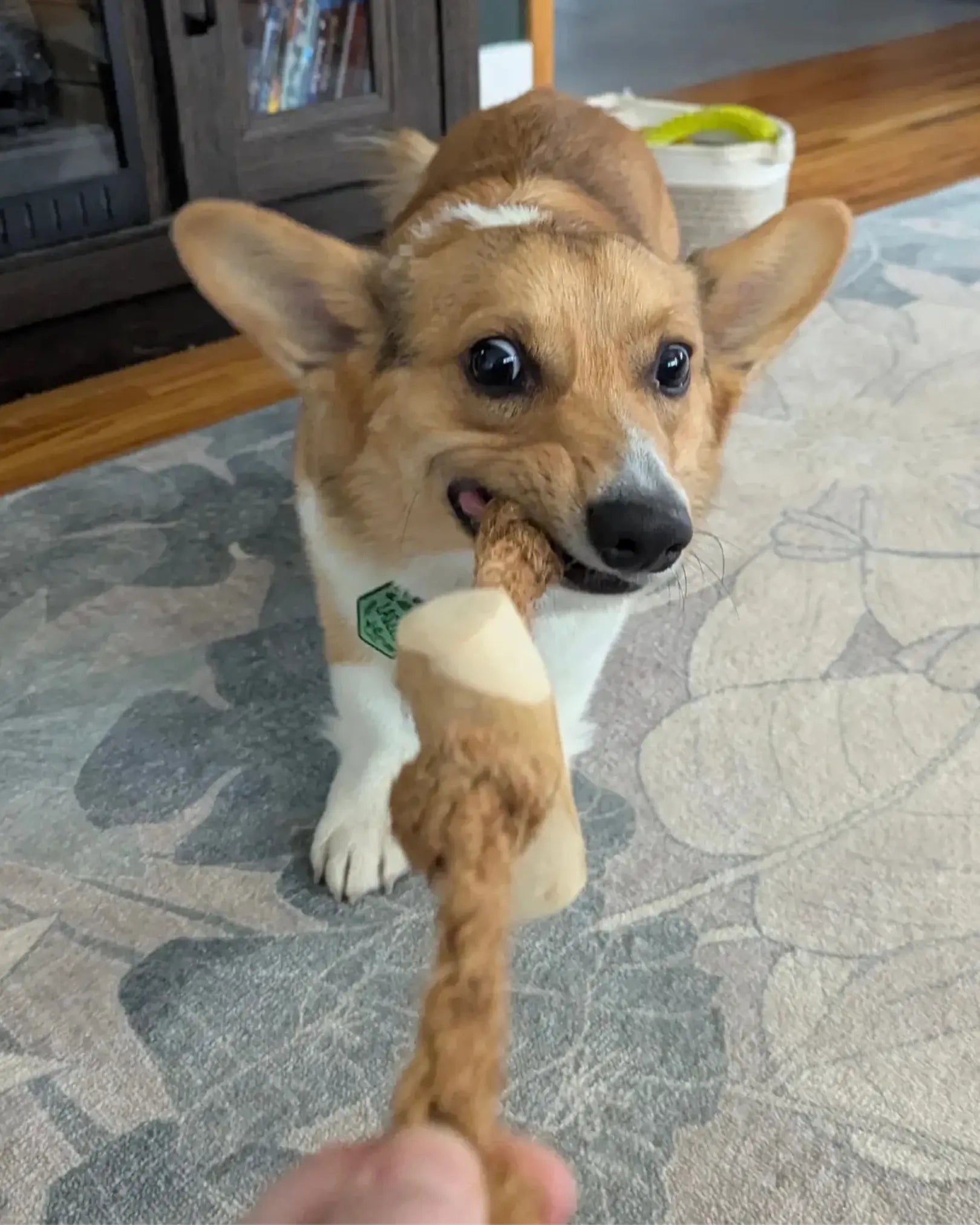 Coconut Rope & Original Chew