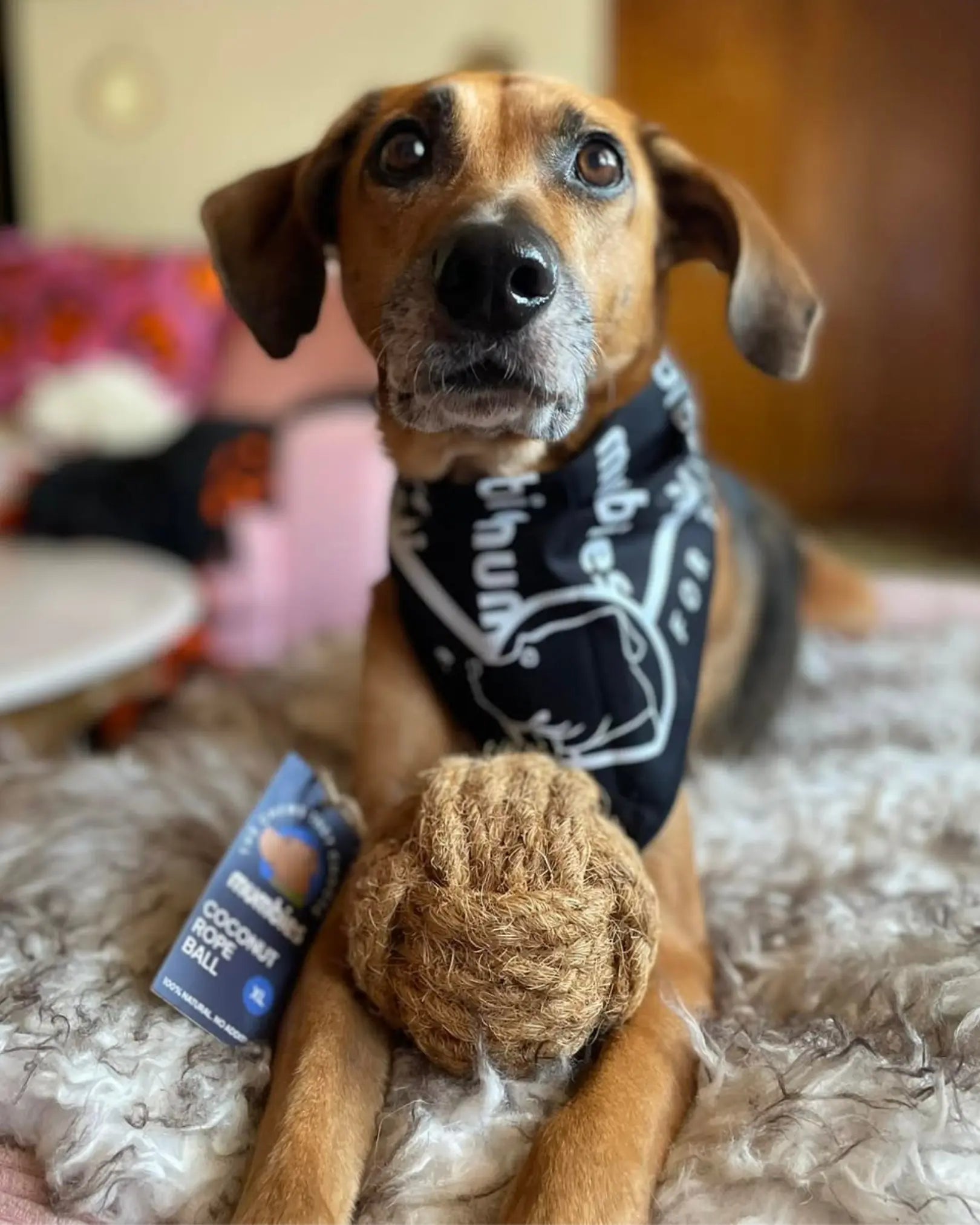Coconut Rope Ball
