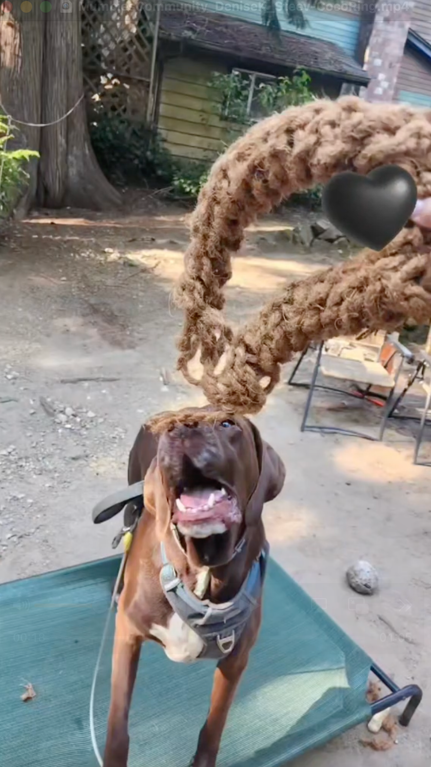 Coconut Rope Ring