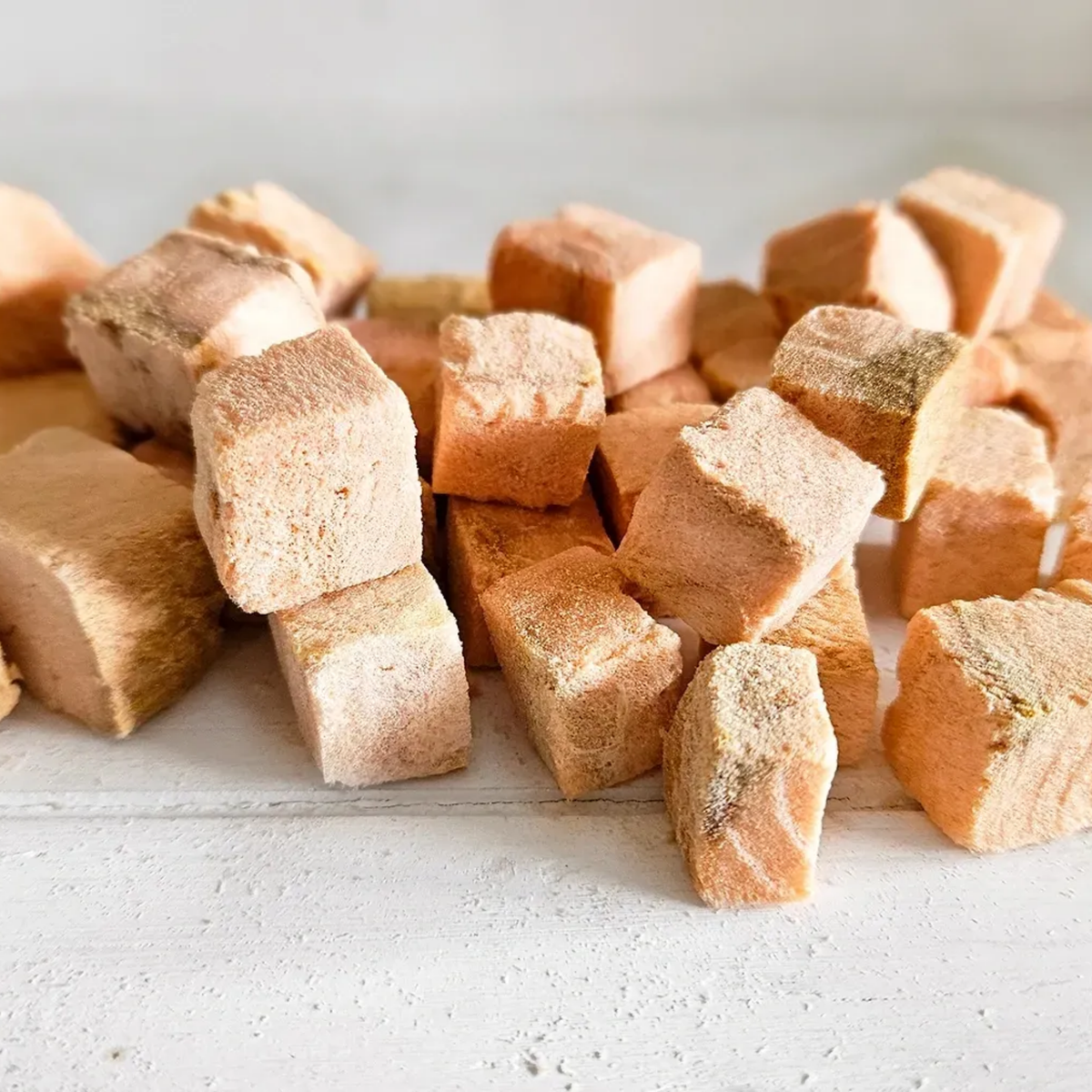 Close-up of freeze-dried Wild Alaskan Salmon Tasty Tidbits cubes