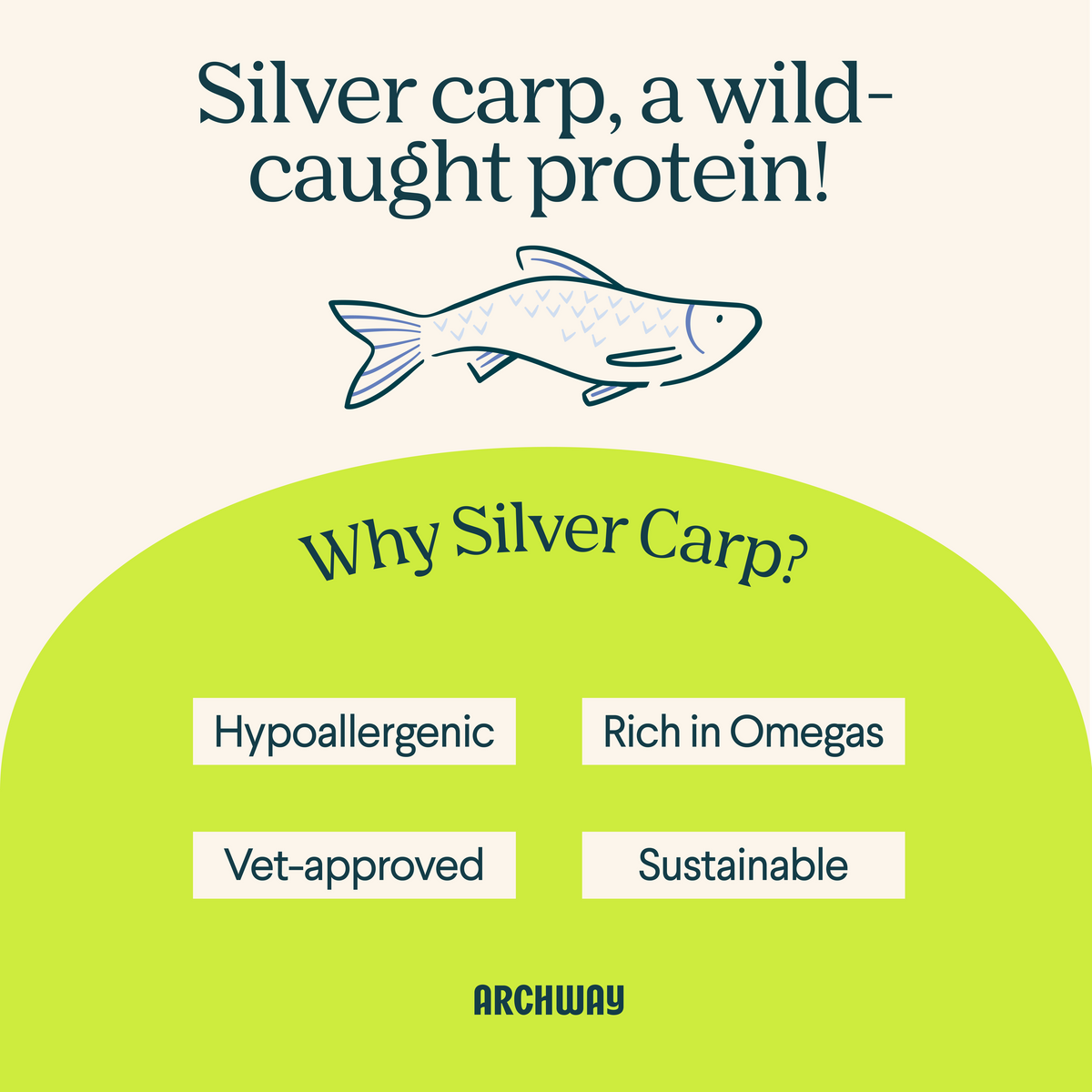 Silver Carp Dog Food