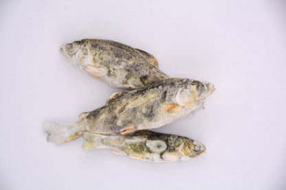 Little Trout