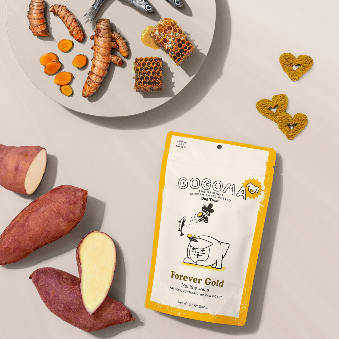 Turmeric + Anchovy Whole Food Dog Treat for Mobility