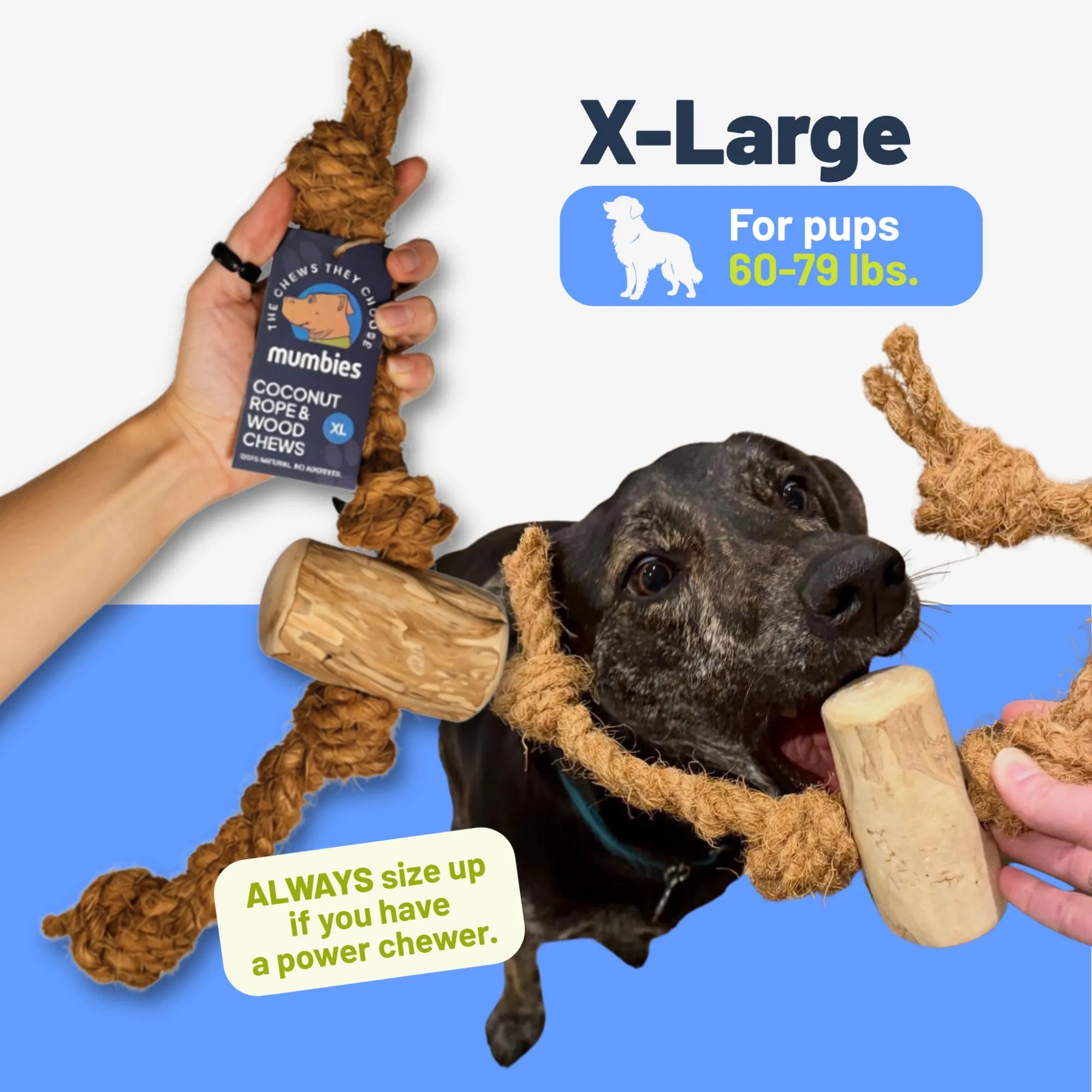 Coconut Rope & Original Chew, XL