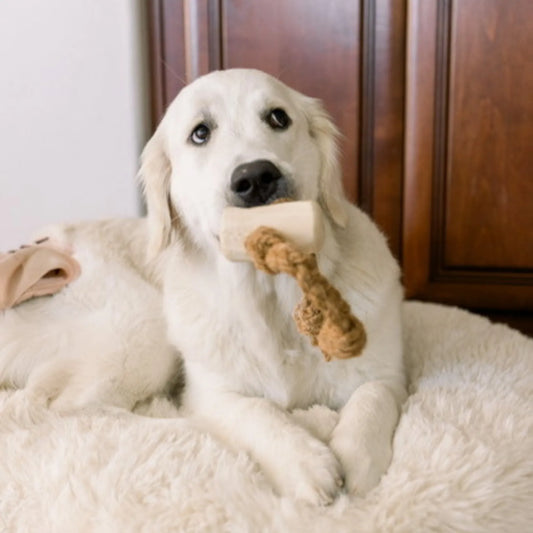 Coconut Rope & Original Chew