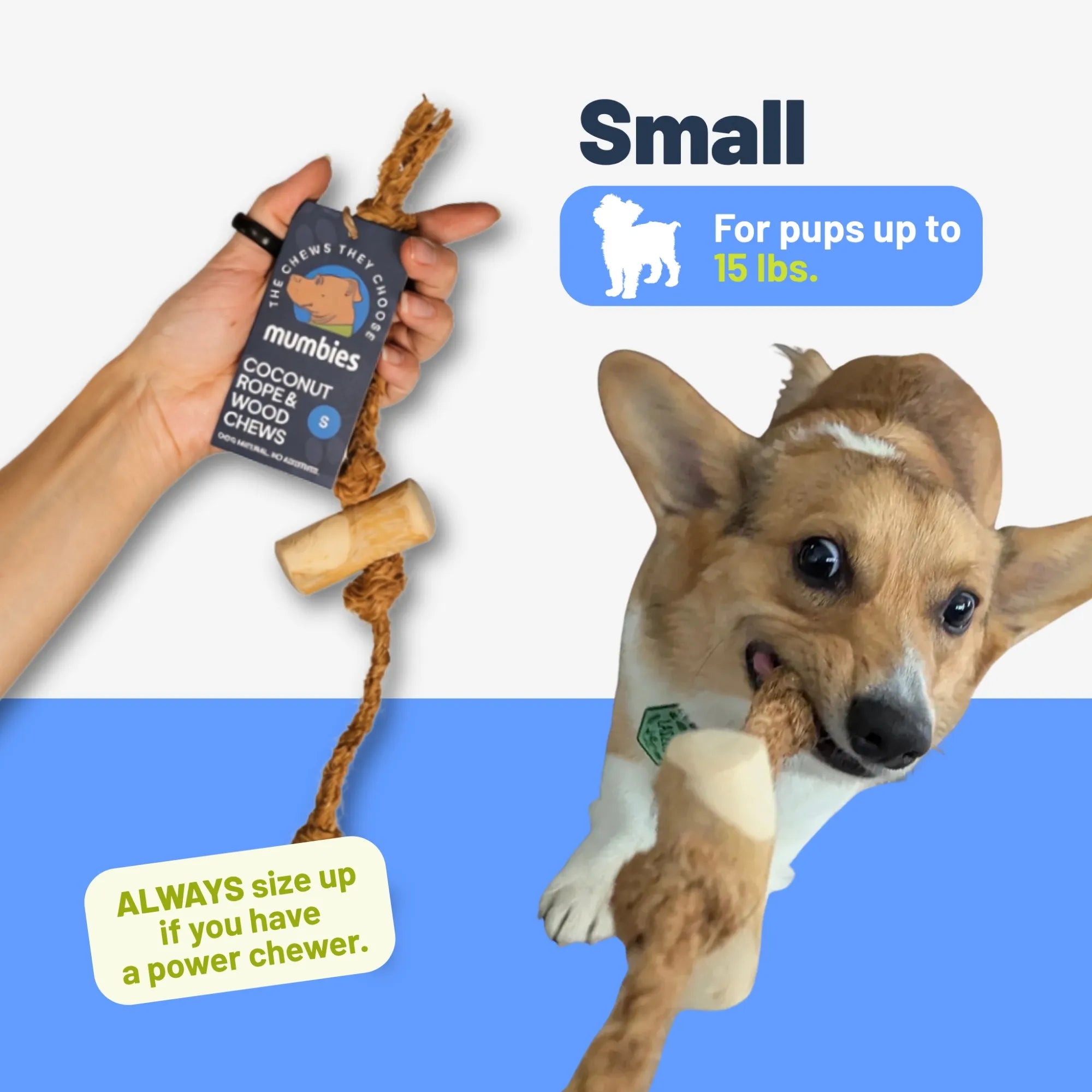 Coconut Rope & Original Chew, Small