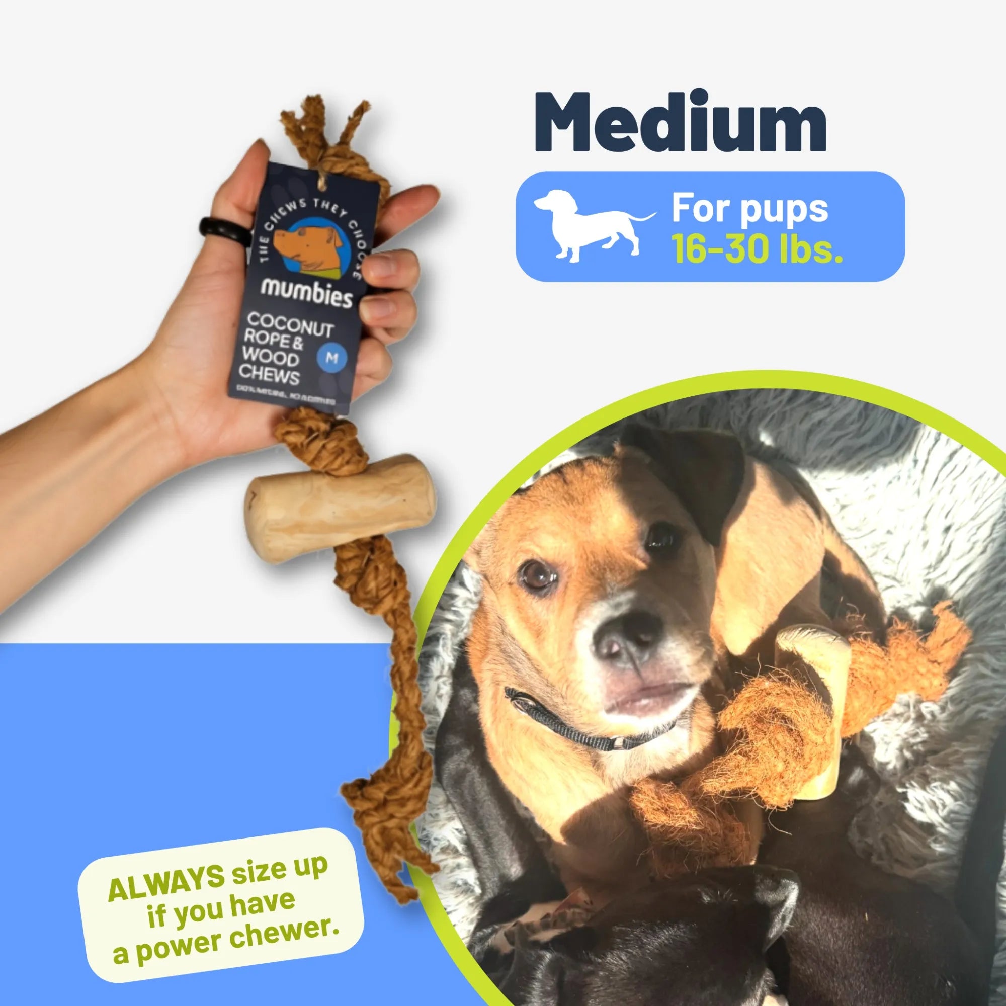 Coconut Rope & Original Chew, Medium