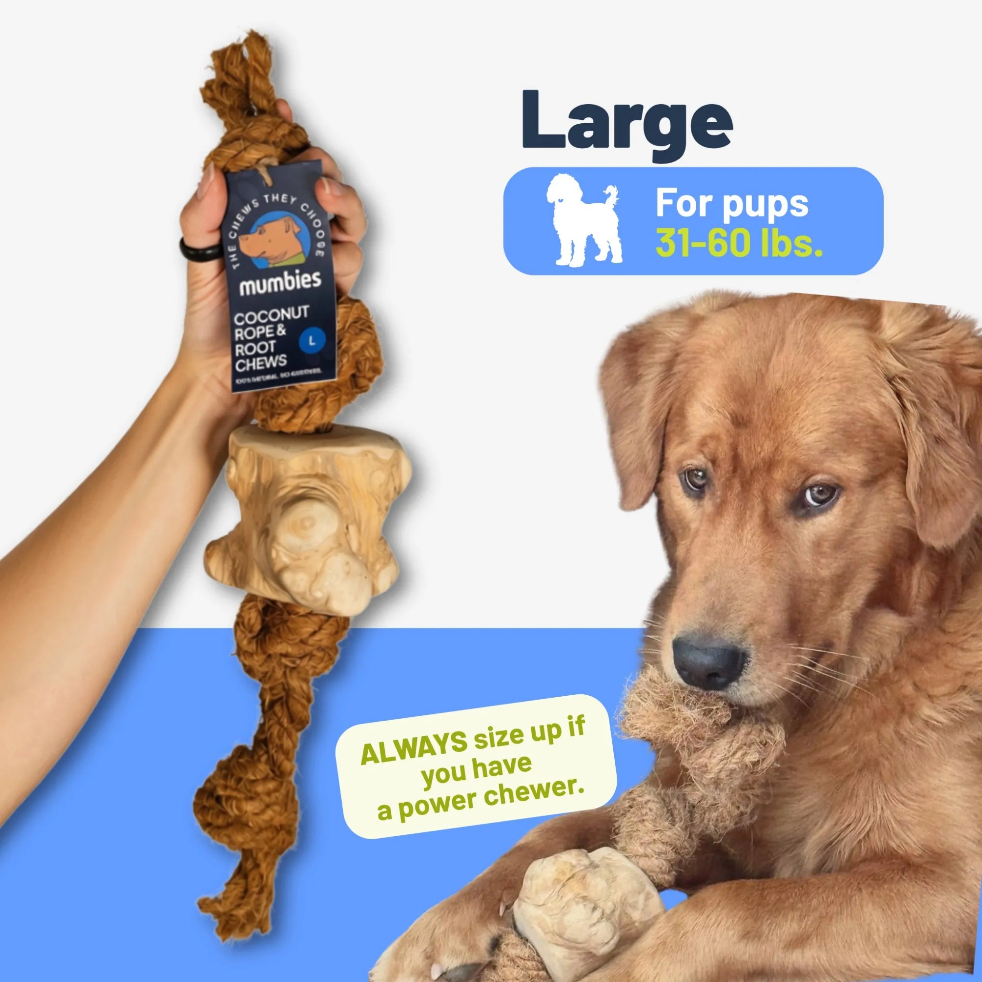 Coconut Rope & Root Chew, XL