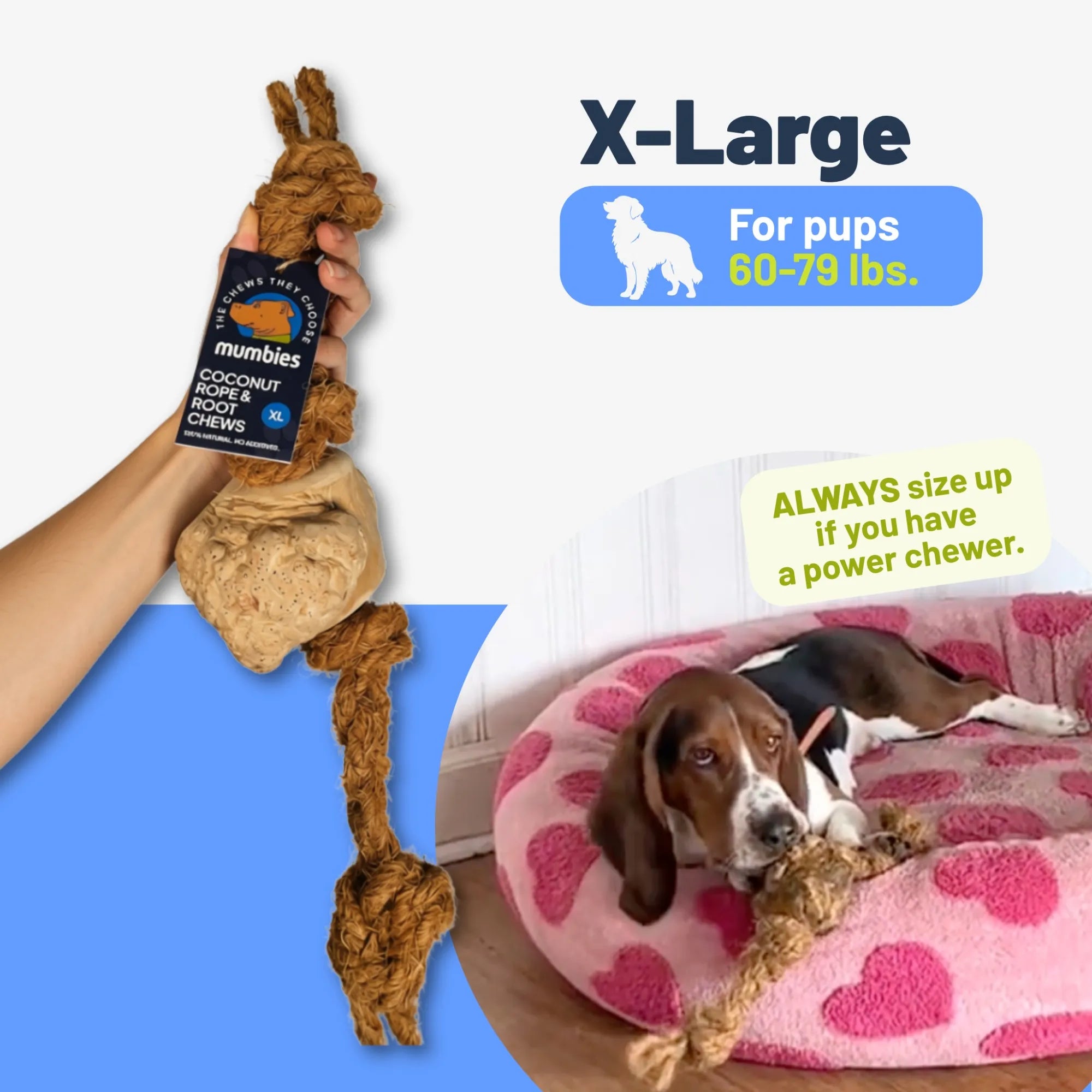 Coconut Rope & Root Chew, XL