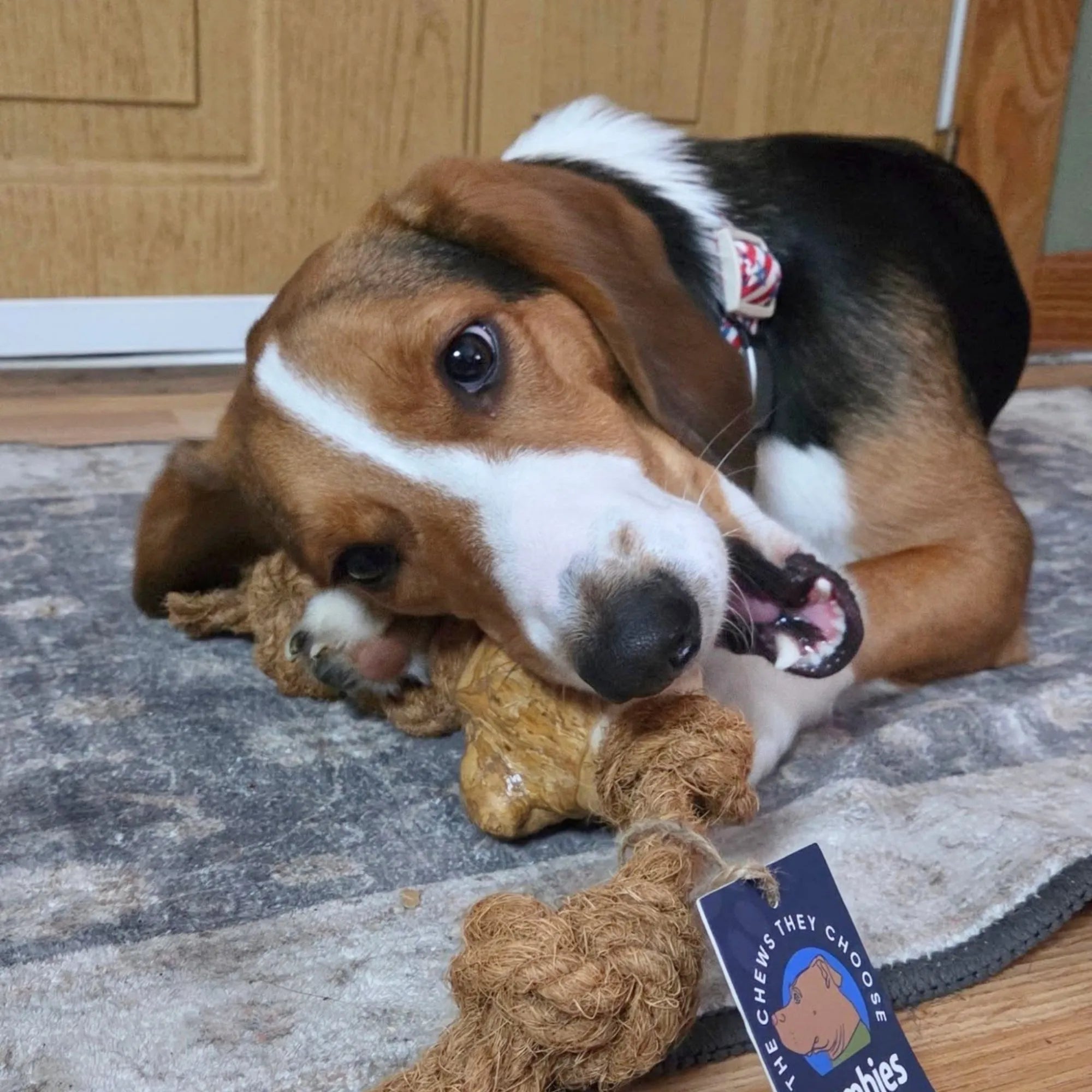Coconut Rope & Root Chew