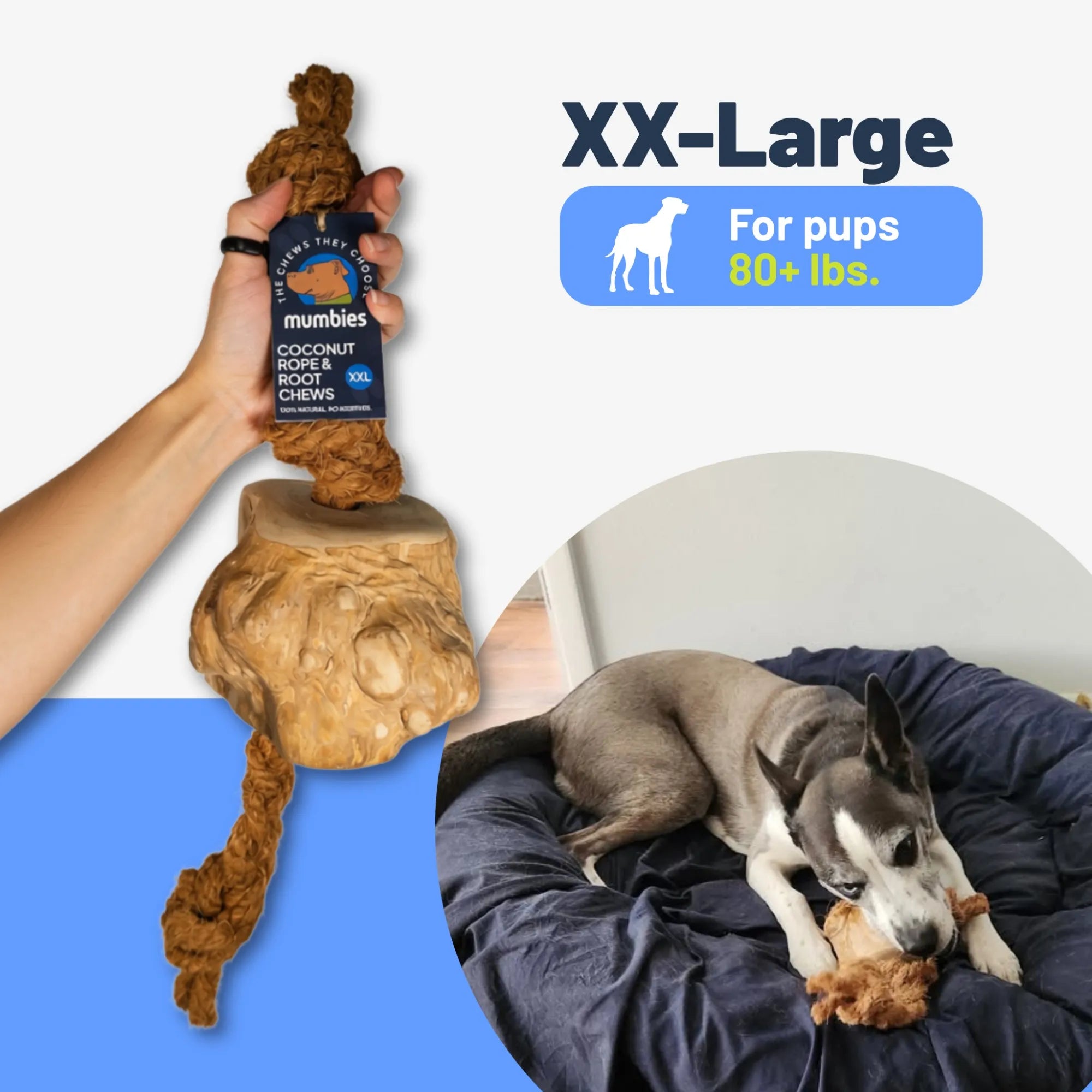 Coconut Rope & Root Chew, XXL