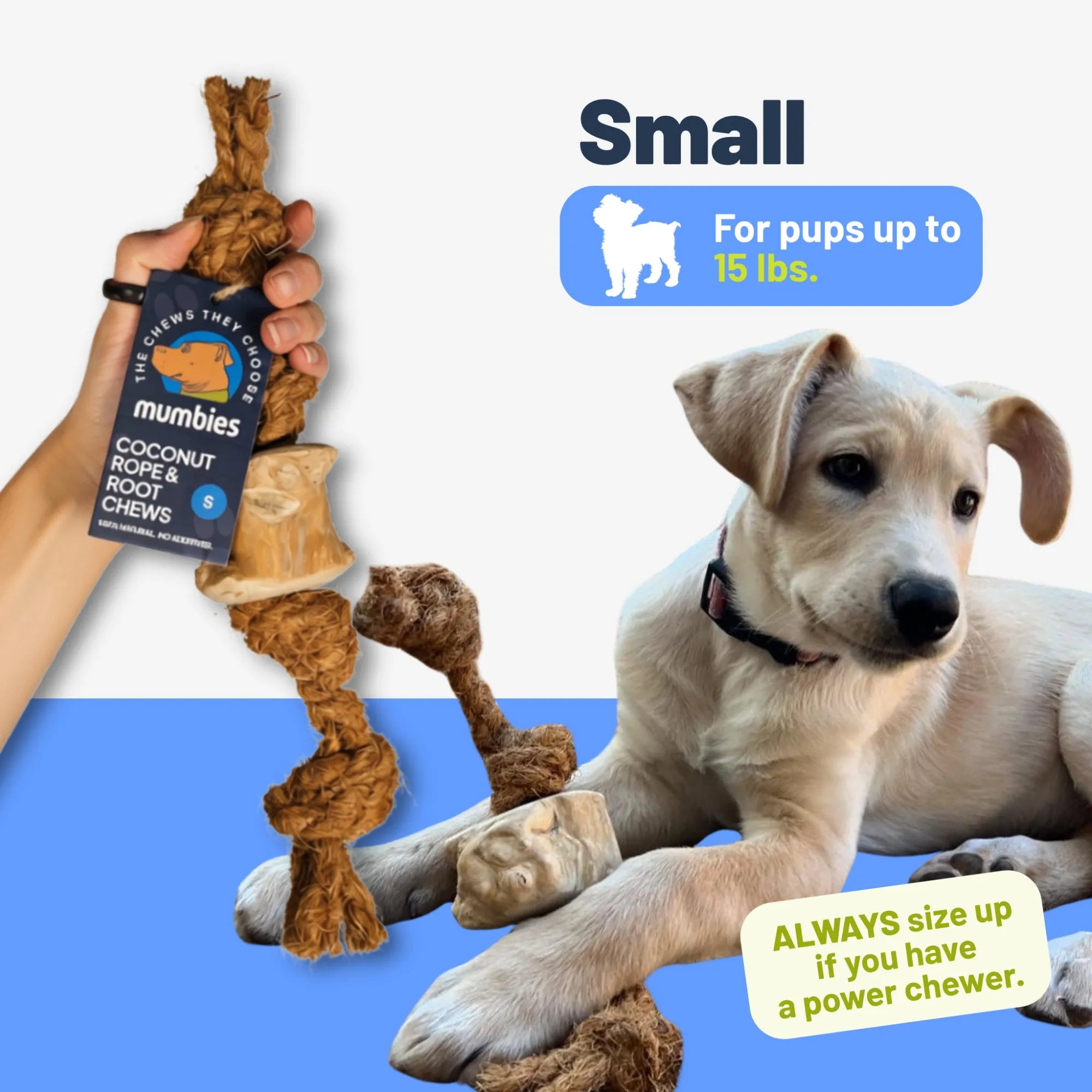 Coconut Rope & Root Chew, Small