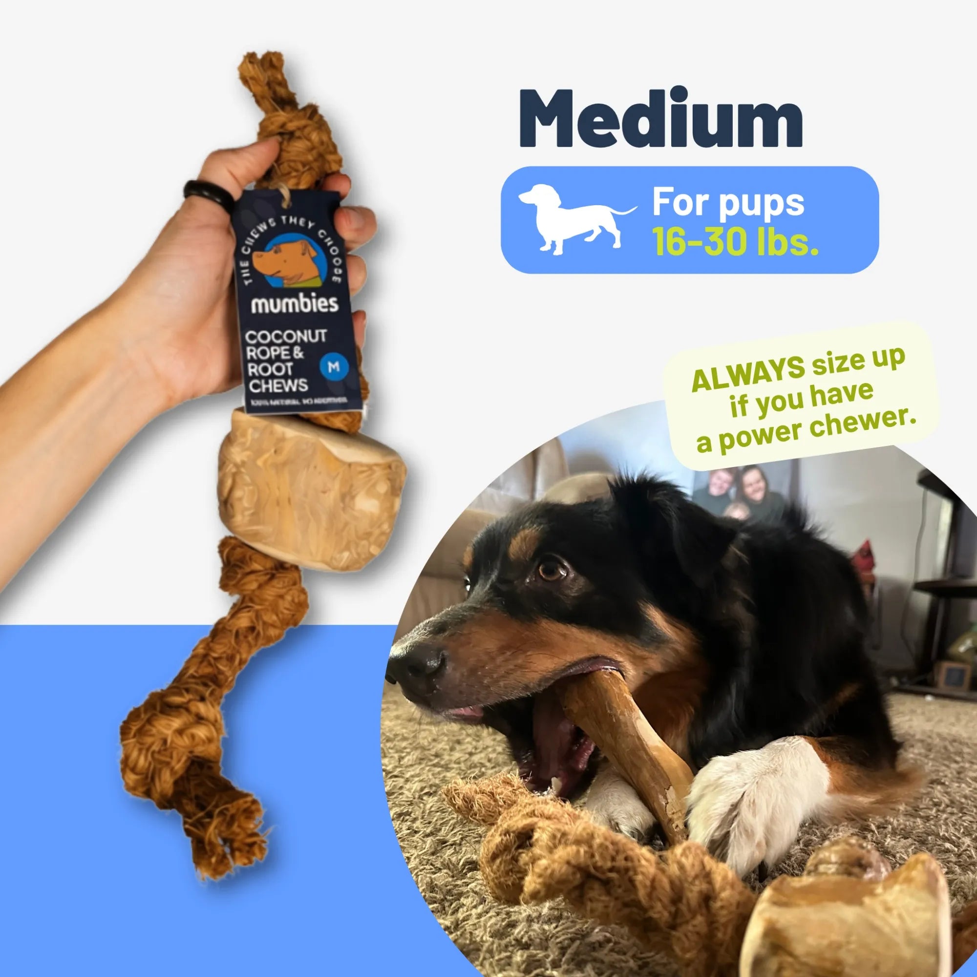 Coconut Rope & Root Chew, Medium