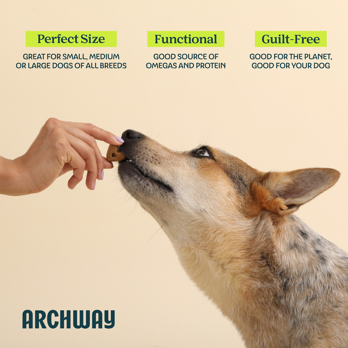 Hypoallergenic Skin & Coat Health Dog Treat