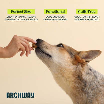 Hypoallergenic Skin & Coat Health Dog Treat