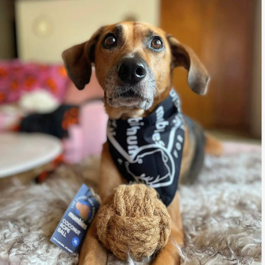 Coconut Rope Ball
