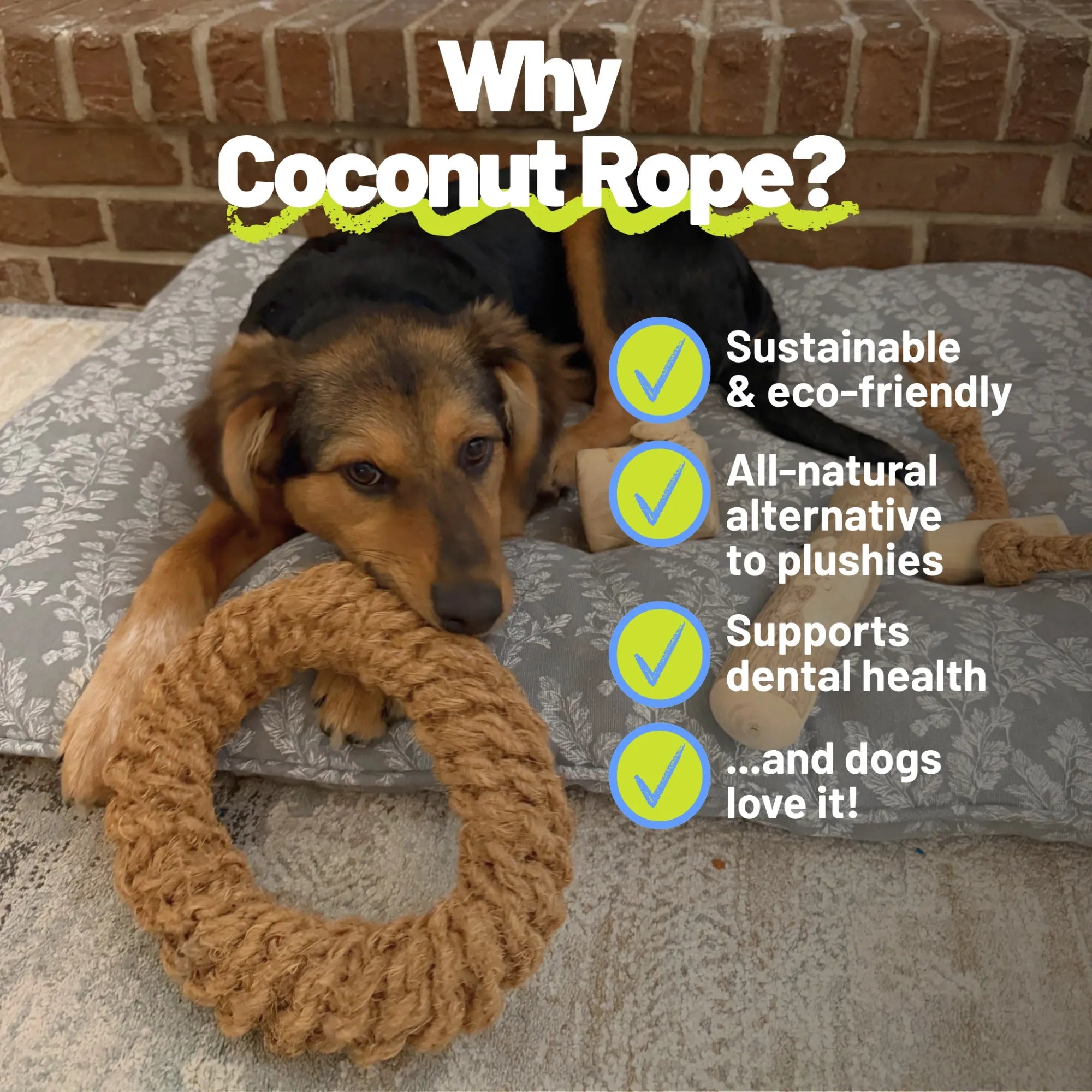 Coconut Rope Ring