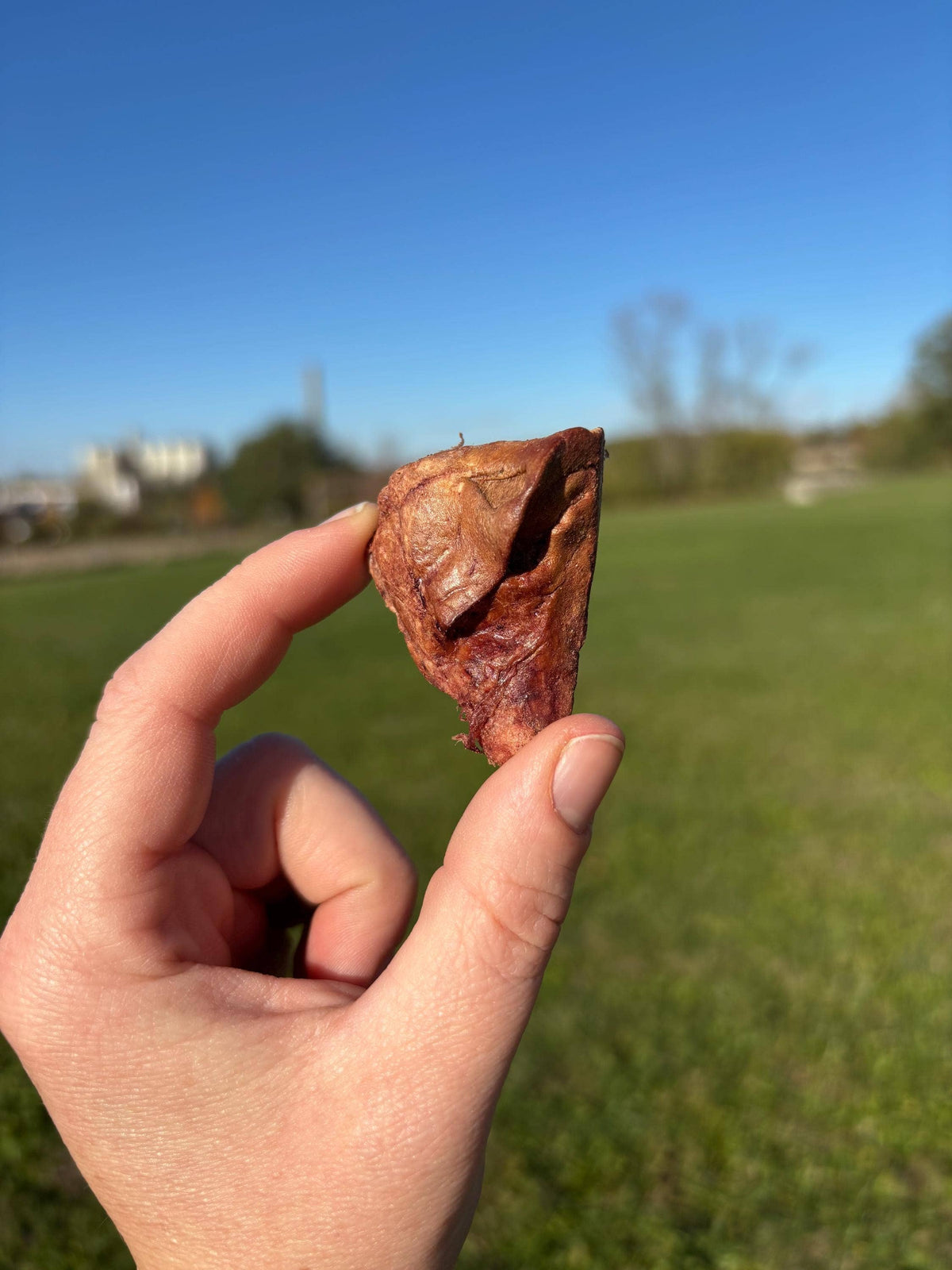 Liver Licks
