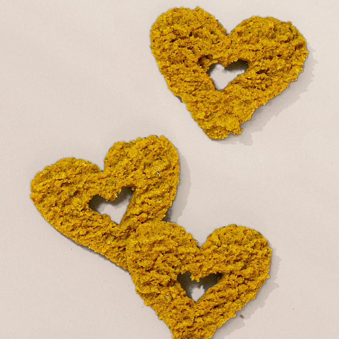 Turmeric + Anchovy Whole Food Dog Treat for Mobility