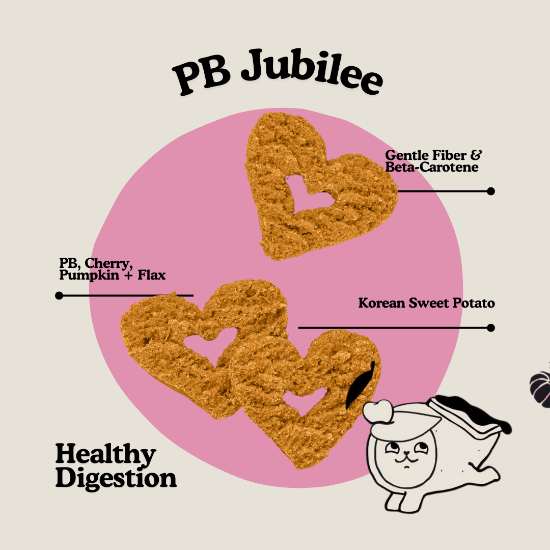 PB + Pumpkin Whole Food Dog Treat for Digestion