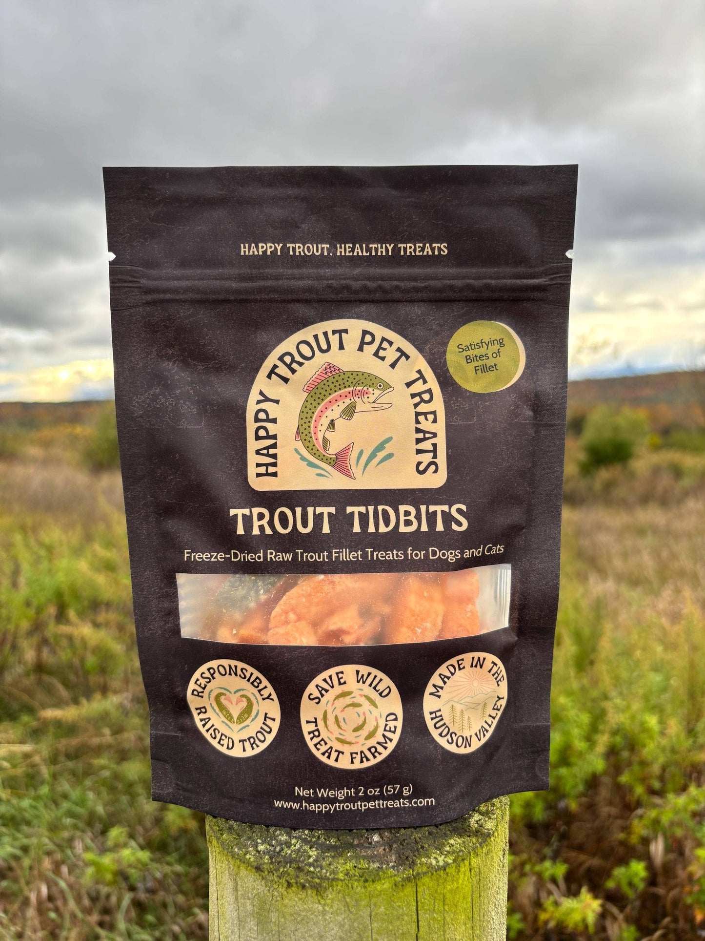 Trout Tidbits