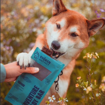 Seafood Treat & Snack Bar for Active Dogs - Energy & Recovery