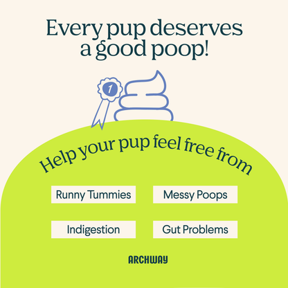 Hypoallergenic Digestive Health Dog Treat