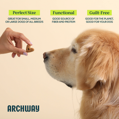 Hypoallergenic Digestive Health Dog Treat