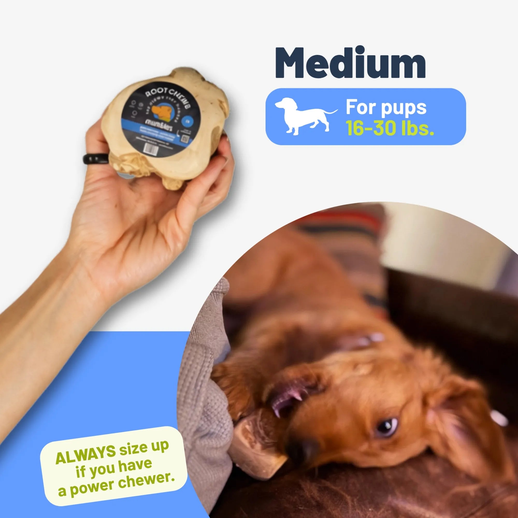 Root Chew, Medium